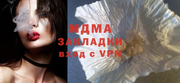 мдпв Инсар