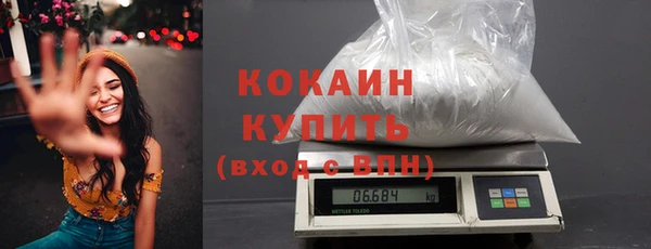 мдпв Инсар