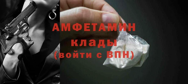 мдпв Инсар