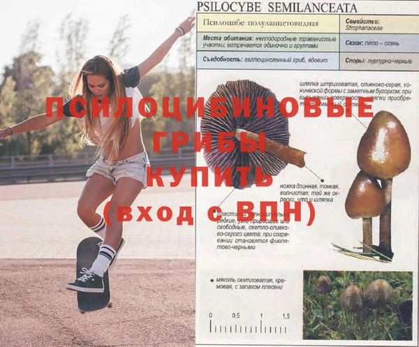 MDMA Premium VHQ Ельня