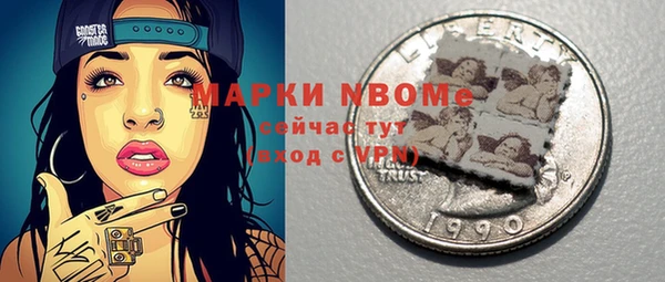 мдпв Инсар