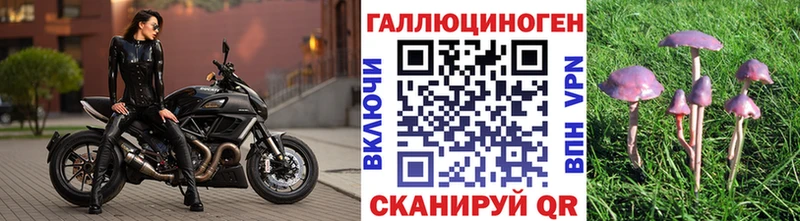 Галлюциногенные грибы мицелий  Купить закладки  Любань 